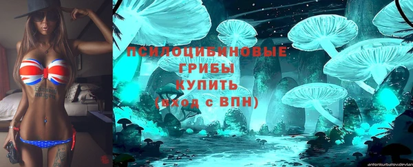 прущая мука Кодинск
