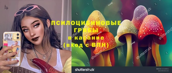 прущая мука Кодинск