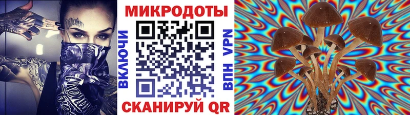 Галлюциногенные грибы Psilocybe  Купить где  Городец 